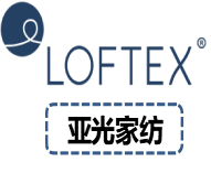 演示 Logo