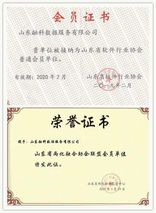 演示 Logo